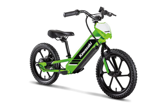 Kawasaki Elektrode 16 - CURBSIDE PICK UP ONLY